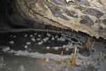 Biospeleologický průzkum slovenských jeskyní - foto 14 Biospeleologický průzkum slovenských jeskyní - foto 14