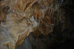 Biospeleological survey of Slovak caves - photo 3 Biospeleological survey of Slovak caves - photo 3