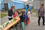 Open day 2017_Třeboň Open day 2017_Třeboň