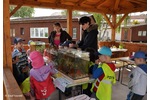 Open day 2017_Třeboň Open day 2017_Třeboň