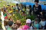 Open day 2017_Třeboň Open day 2017_Třeboň