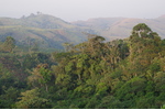Kamerunské hory se zbytky původních horských mlžných lesů. Kamerunské hory se zbytky původních horských mlžných lesů. Foto: Štěpán Janeček