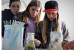 Očkování mikroorganismů Očkování mikroorganismů V laboratoři se pracovalo - očkování mikroskopických hub na živné médium.