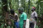 Skupina místních vlastníků lesa z rezervace Kagalalo se podílí na sběru vzorků hmyzu. Skupina místních vlastníků lesa z rezervace Kagalalo se podílí na sběru vzorků hmyzu.