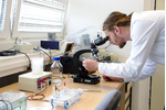 Student Jiří Houska při práci v laboratoři Student Jiří Houska při práci v laboratoři Student Jiří Houska při práci v laboratoři rostlinné virologie
