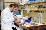 Student Jiří Houska při práci v laboratoři Student Jiří Houska při práci v laboratoři Student Jiří Houska při práci v laboratoři rostlinné virologie
