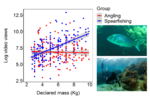Social engagement of marine recreational anglers  Social engagement of marine recreational anglers and spearfishers targeting common dentex (Dentex dentex), an iconic species for Mediterranean fisheries, based on videos posted on YouTube [Sbragaglia et al. 2019. ICES J Mar Sci, fsz100] (photo: David Mandos).
