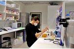 Plant Molecular Signaling laboratory Plant Molecular Signaling laboratory