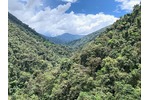 Kordillery Pohled na panenské pralesy jedné ze studovaných velehor v Kordillerách.  Ekvádor, Jižní Amerika. Photo: Nina Farwig