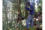 Papuánský tým První autor studie a vedoucí papuánské expedice, Jimmy Moses (vpravo) zachycen spolu se svým asistentem při přípravě experimentu v horském pralese hory Mt. Wilhelm. Papua Nová Guinea. Foto: Tom Fayle