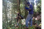 Papuan expedition First author of the study and leader of the Papuan expedition, Jimmy Moses (right) pictured with his assistant while preparing the experiment in the montane forest of Mt. Wilhelm. Papua New Guinea. Photo: Tom Fayle